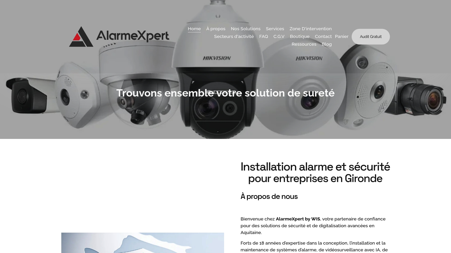 https://alarmexpert.eu