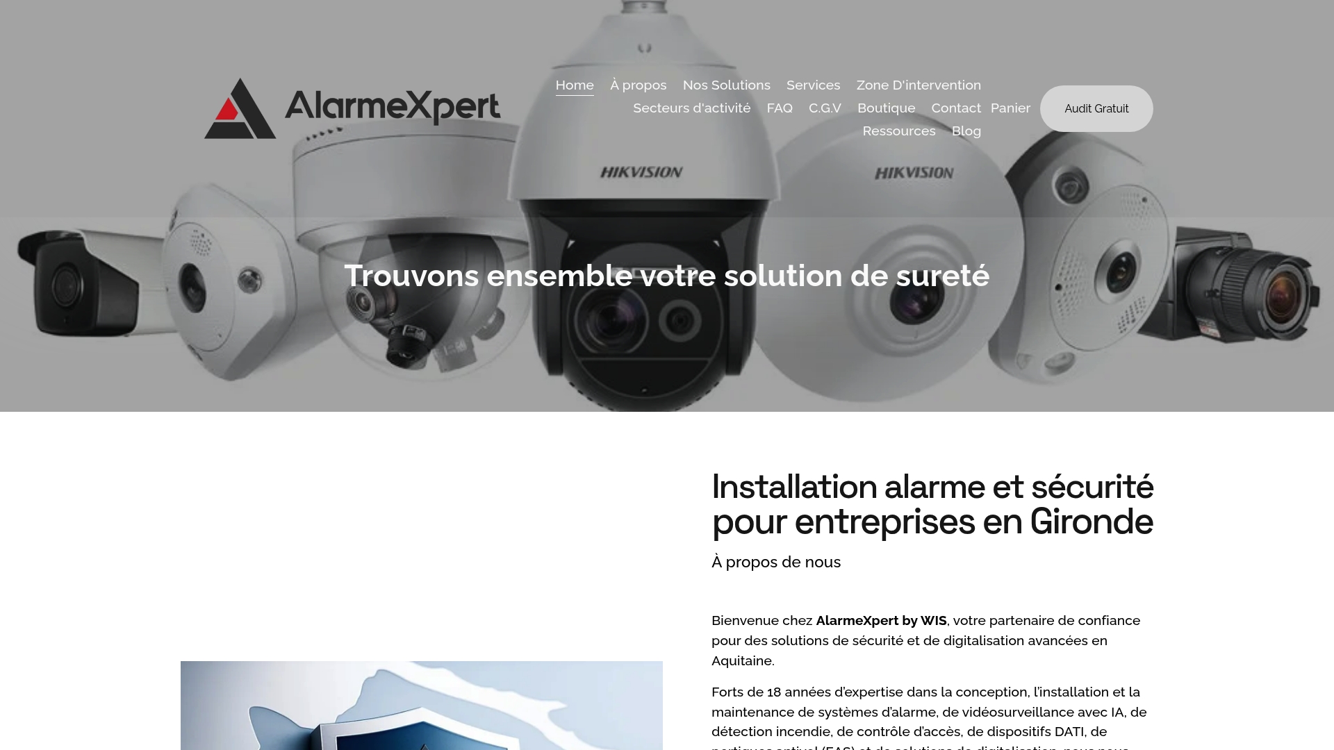 https://alarmexpert.eu