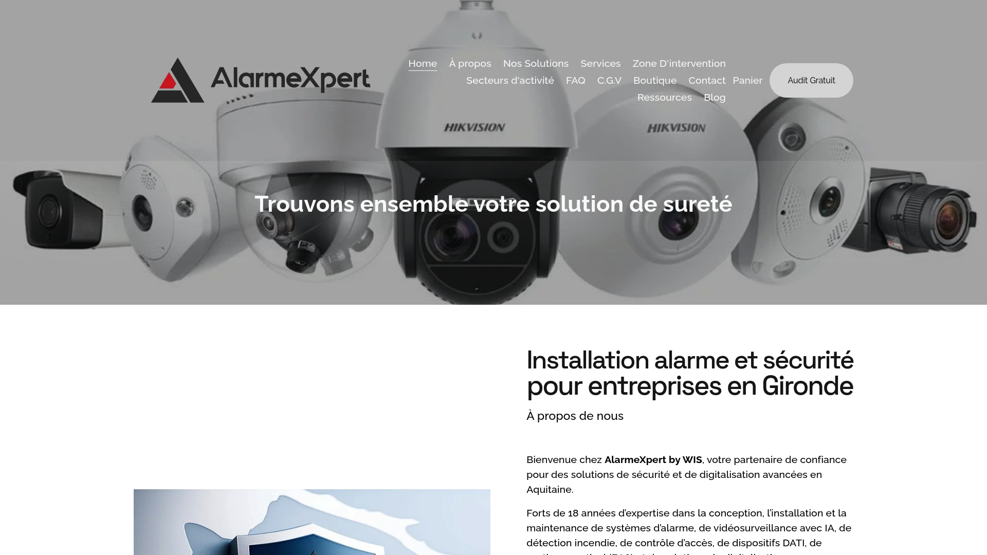 https://alarmexpert.eu