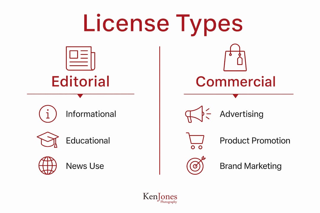 Infographic comparing editorial and commercial licenses