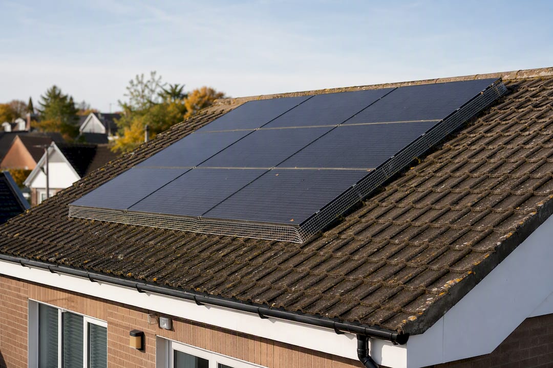 Close-up galvanised bird mesh around solar panel