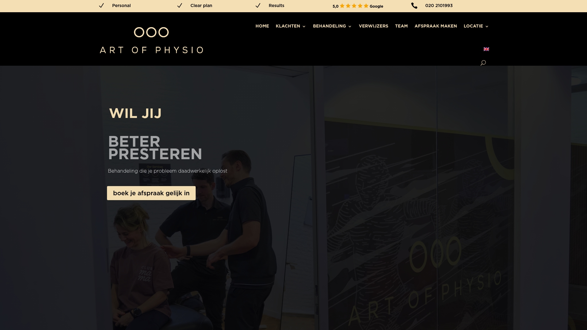 https://artofphysio.nl