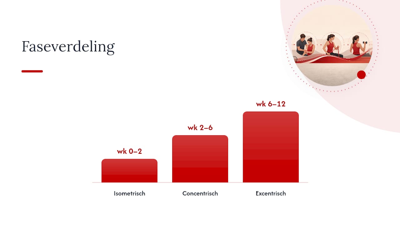 Welke oefeningen helpen echt, stap voor stap? — overview diagram