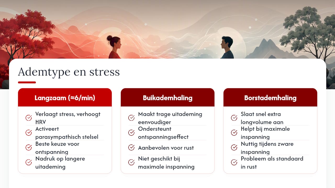Waarom kalmeert langzaam ademhalen stress zo goed? — overview diagram