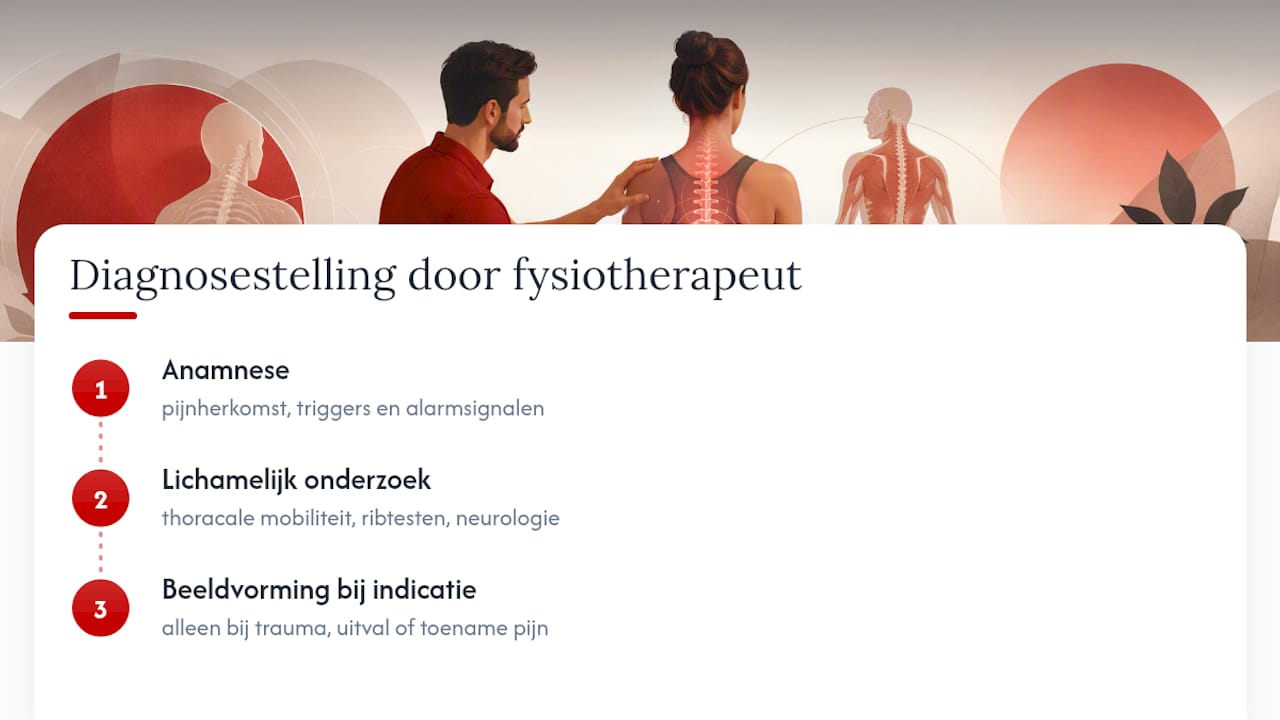 Hoe stelt een fysiotherapeut de diagnose? — overview diagram