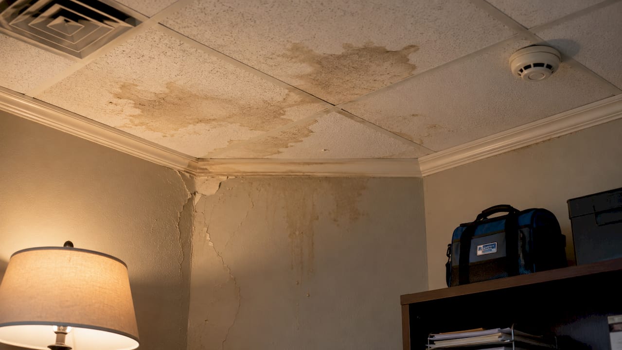 Close-up of water damage inside office ceiling tiles