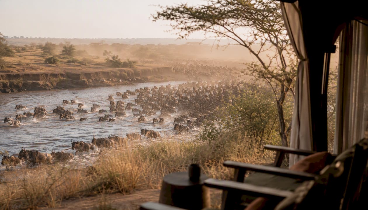 Wildebeest migration river crossing viewed from safari camp
