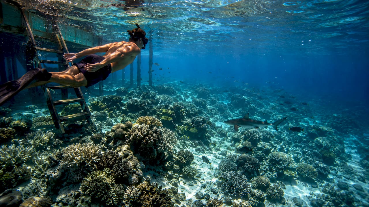 Snorkeler exploring reef beside water villa
