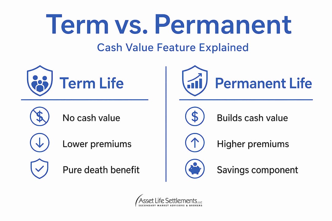 Infographic comparing term vs permanent life insurance