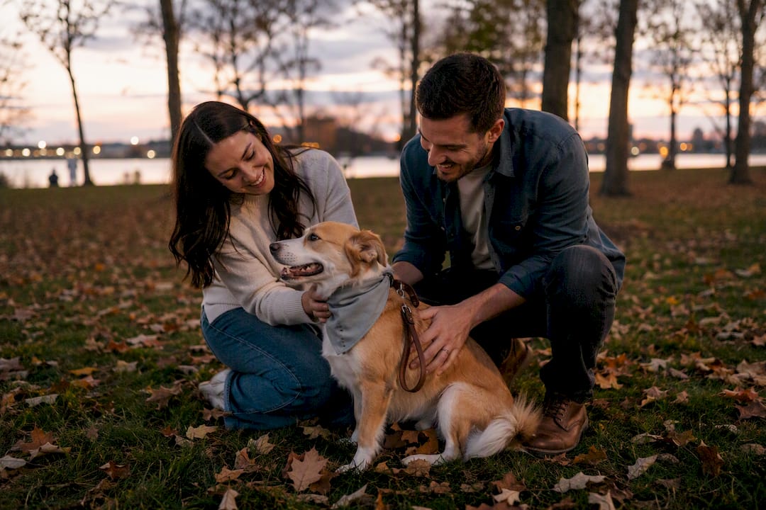 Dog wearing neutral bandana with couple