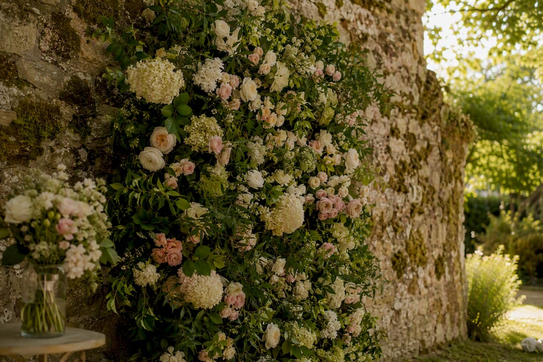 Floral wall and black seamless backdrops