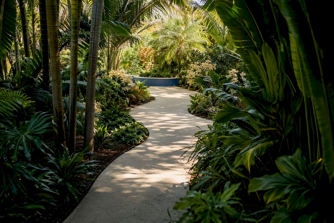 Tropical garden path at Fairchild
