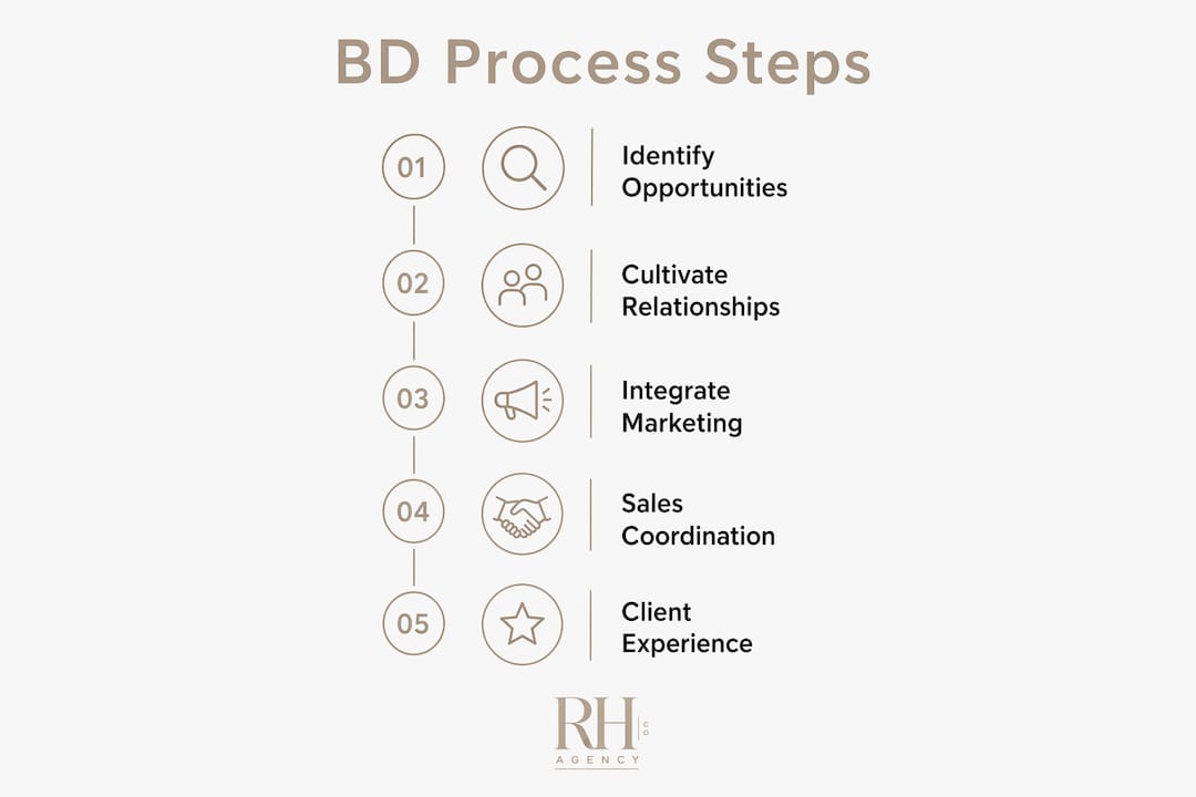 Infographic showing business development process steps