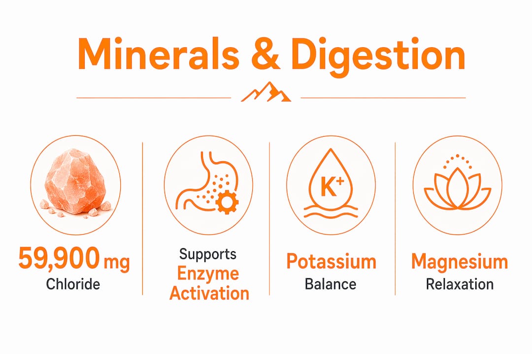 Infographic highlighting key minerals in Himalayan salt for digestion