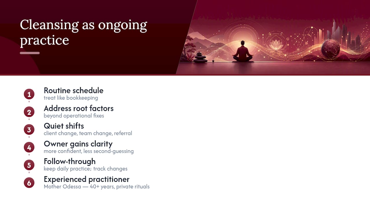A practitioner's perspective on cleansing as an ongoing business practice — overview diagram