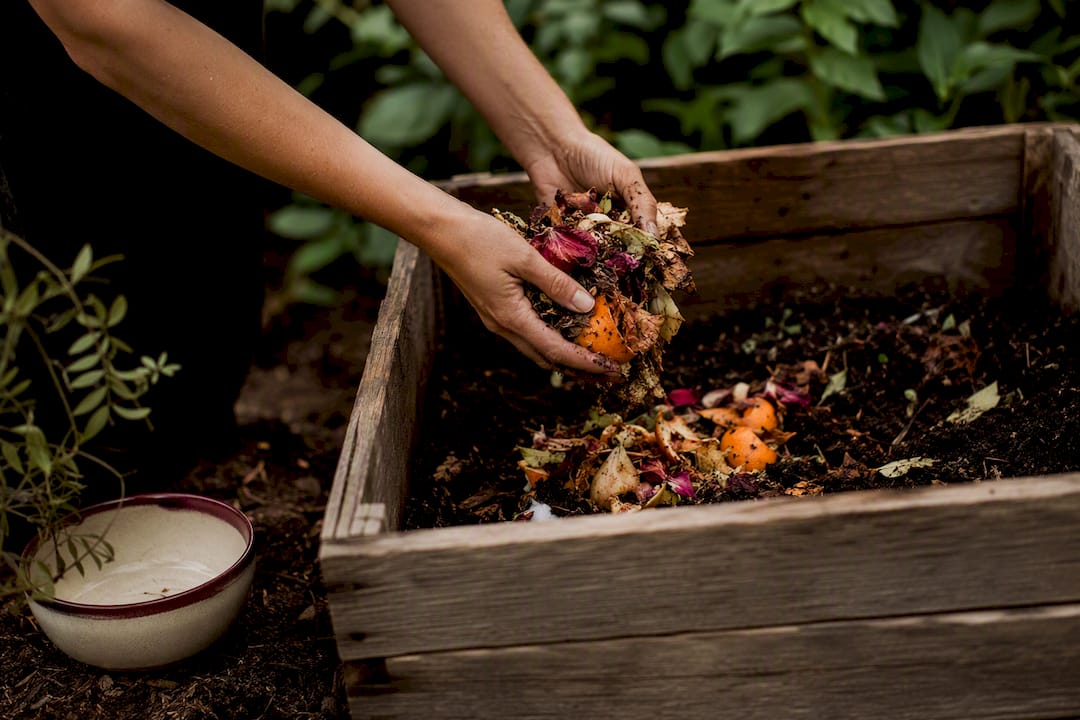 Hands composting flowers and fruit offerings