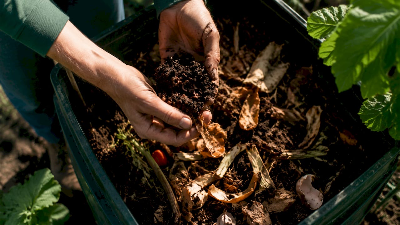 Hands adding kitchen scraps to compost bin
