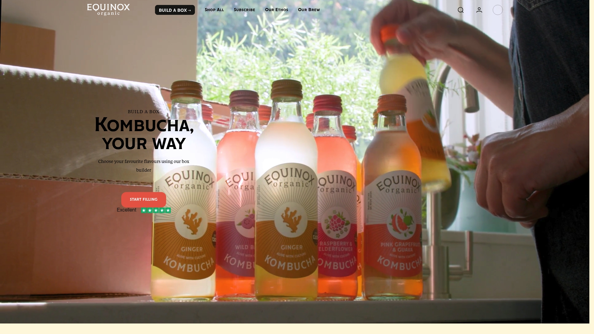 https://equinoxkombucha.com