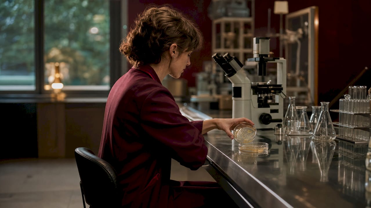 Hands holding petri dishes with probiotic cultures in lab