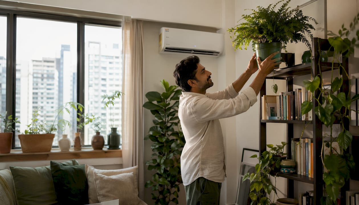 Man arranging plant near air conditioner indoors
