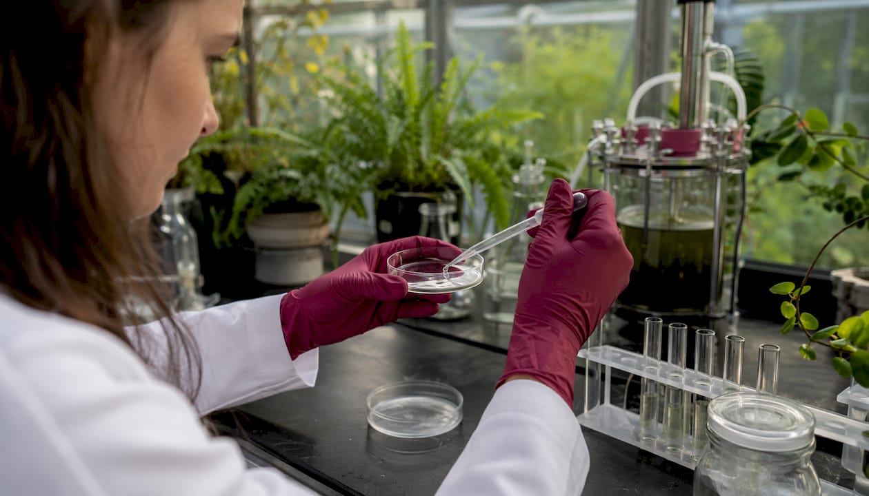Scientist examining liquid sample in lab
