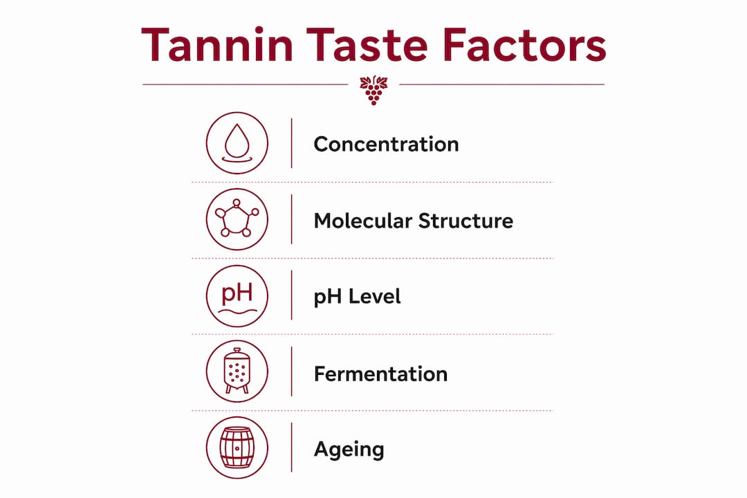 Infographic illustrating key factors affecting tannin taste