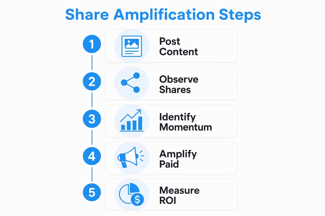 Infographic showing steps of share amplification process