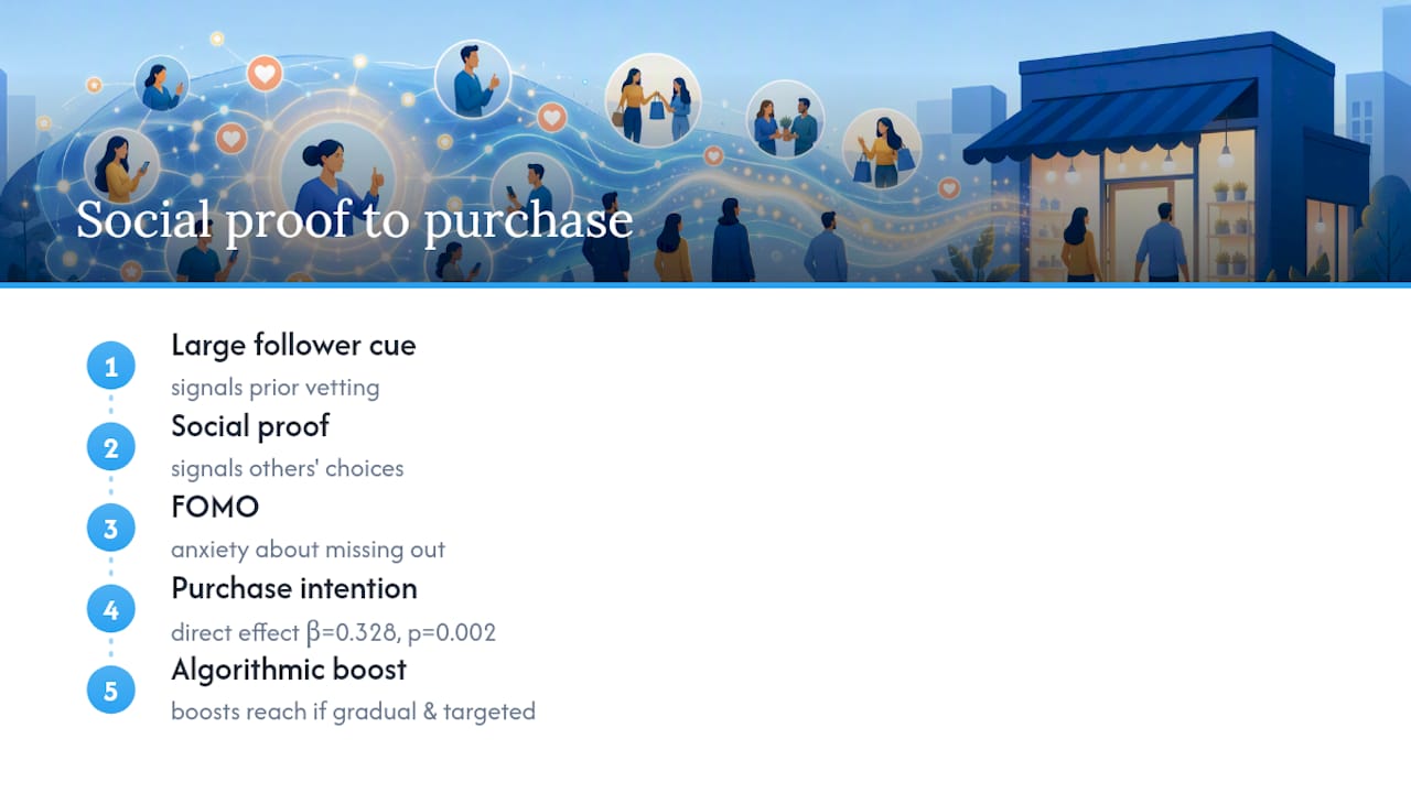 How do paid followers and likes actually produce those benefits? — overview diagram