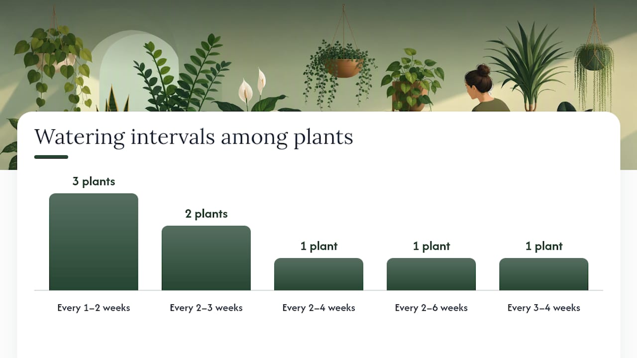 Which plants survive neglect indoors best? — overview diagram