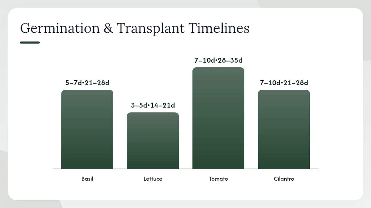 Germination and transplant timeline chart