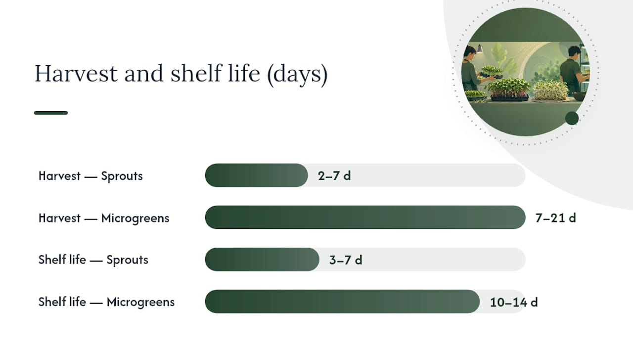 Diagram comparing sprouts and microgreens