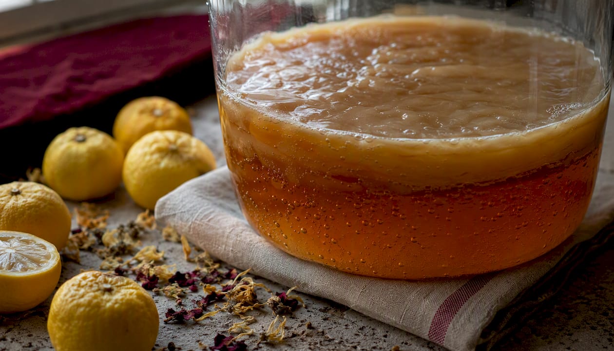 Kombucha SCOBY fermenting in glass jar