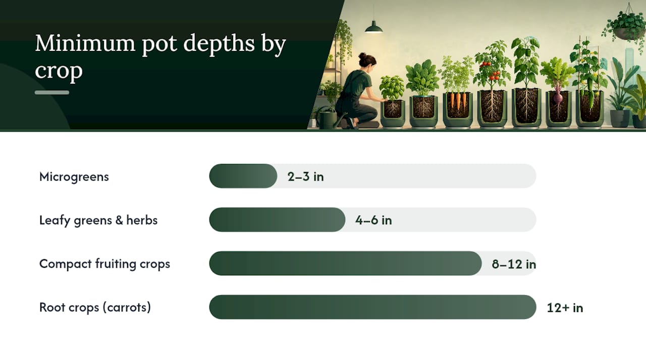 Diagram of crop light requirements and pot depths indoors