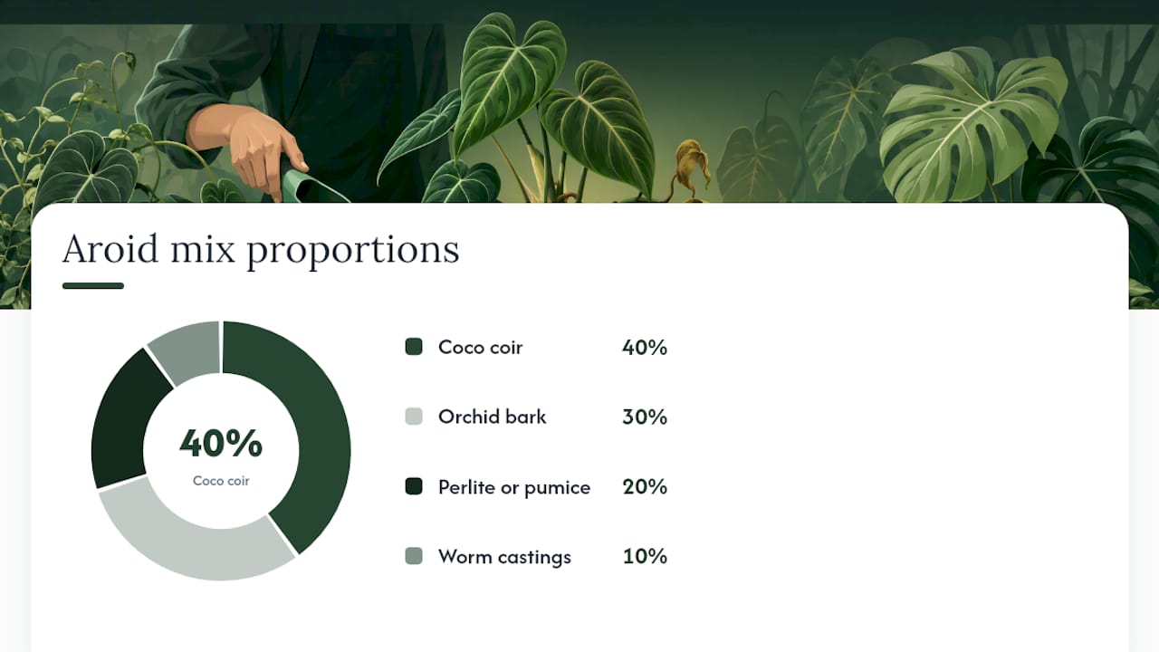 Diagram of aroid potting mix ingredient ratios