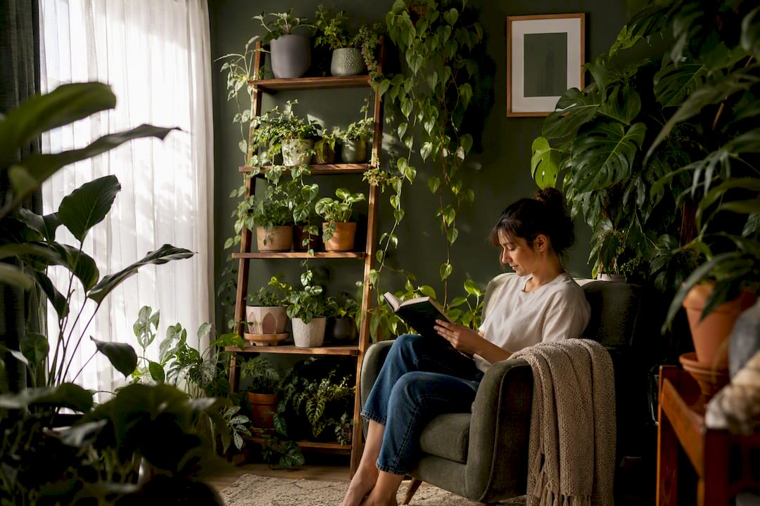 Leafy indoor plants creating calm atmosphere