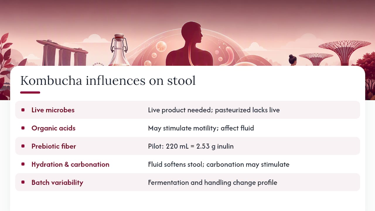 Five proposed kombucha constipation mechanisms