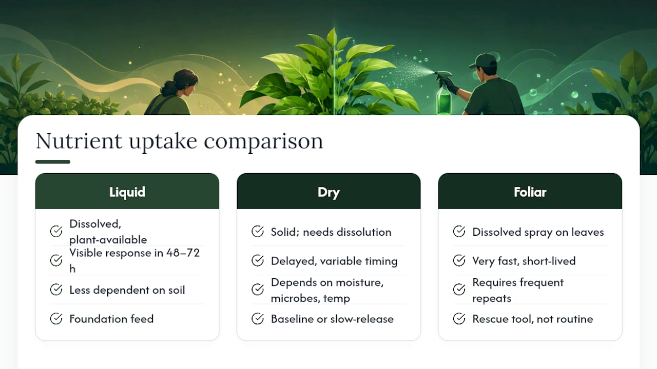 Liquid and dry fertilizer uptake comparison