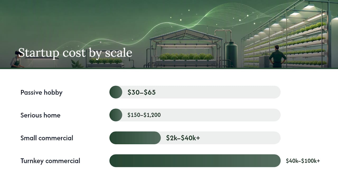 Hydroponic system cost tiers by scale
