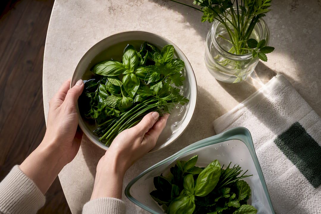 Fresh herbs being rinsed and prepared for storage