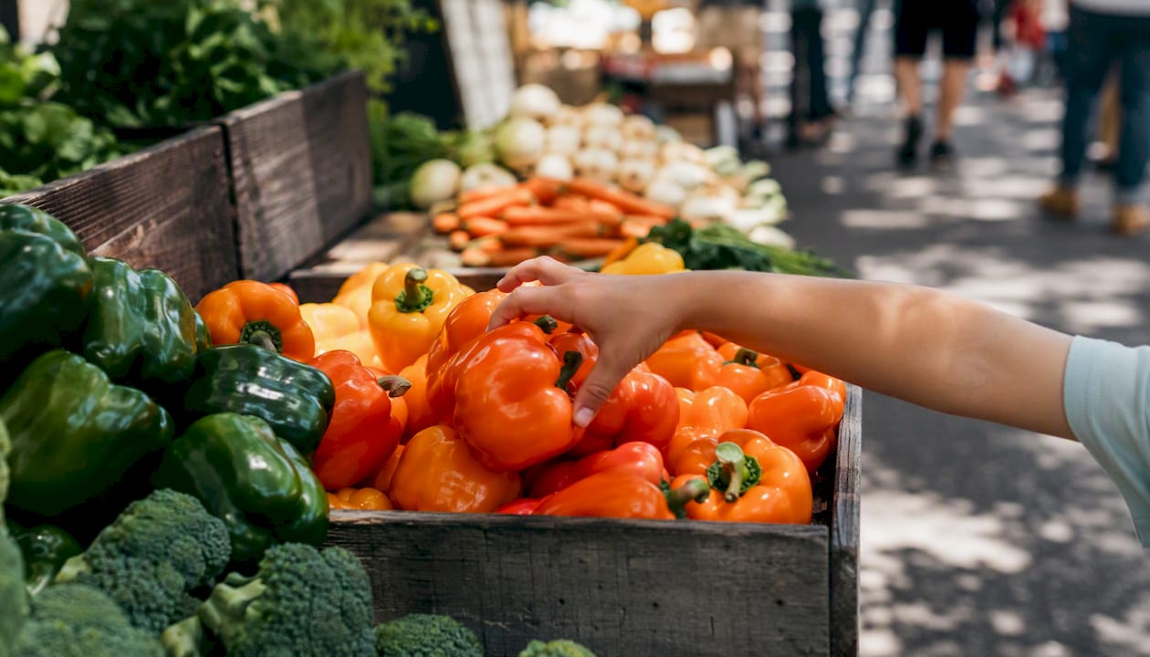 Child picking purple carrot at farmers market