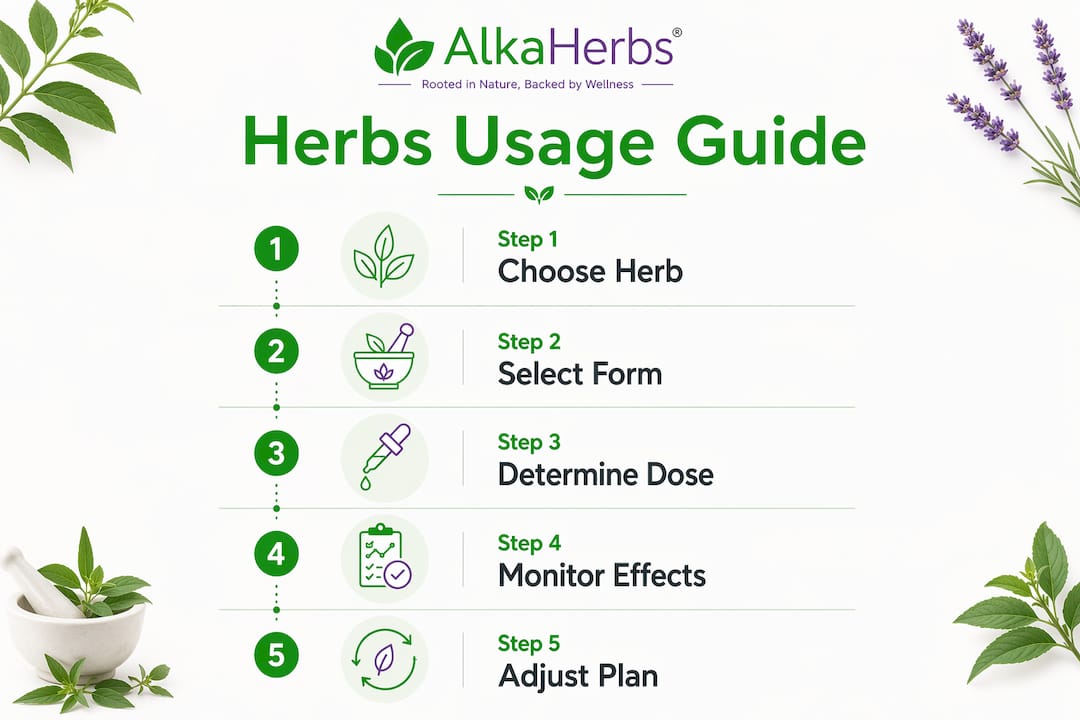 Infographic showing steps to use anti-inflammatory herbs
