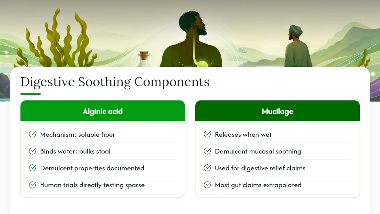 Diagram comparing alginic acid and mucilage benefits