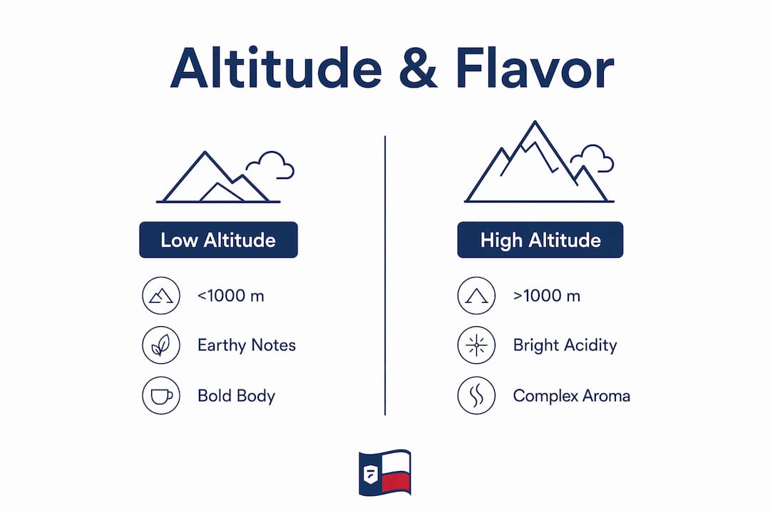 Infographic comparing coffee flavors by altitude