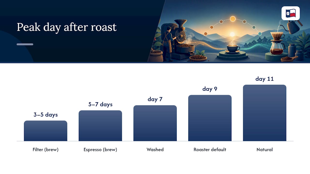 When Does Coffee Actually Peak After Roasting? — overview diagram