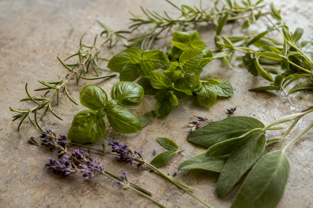 Fresh herbs selection for infusing coffee syrup