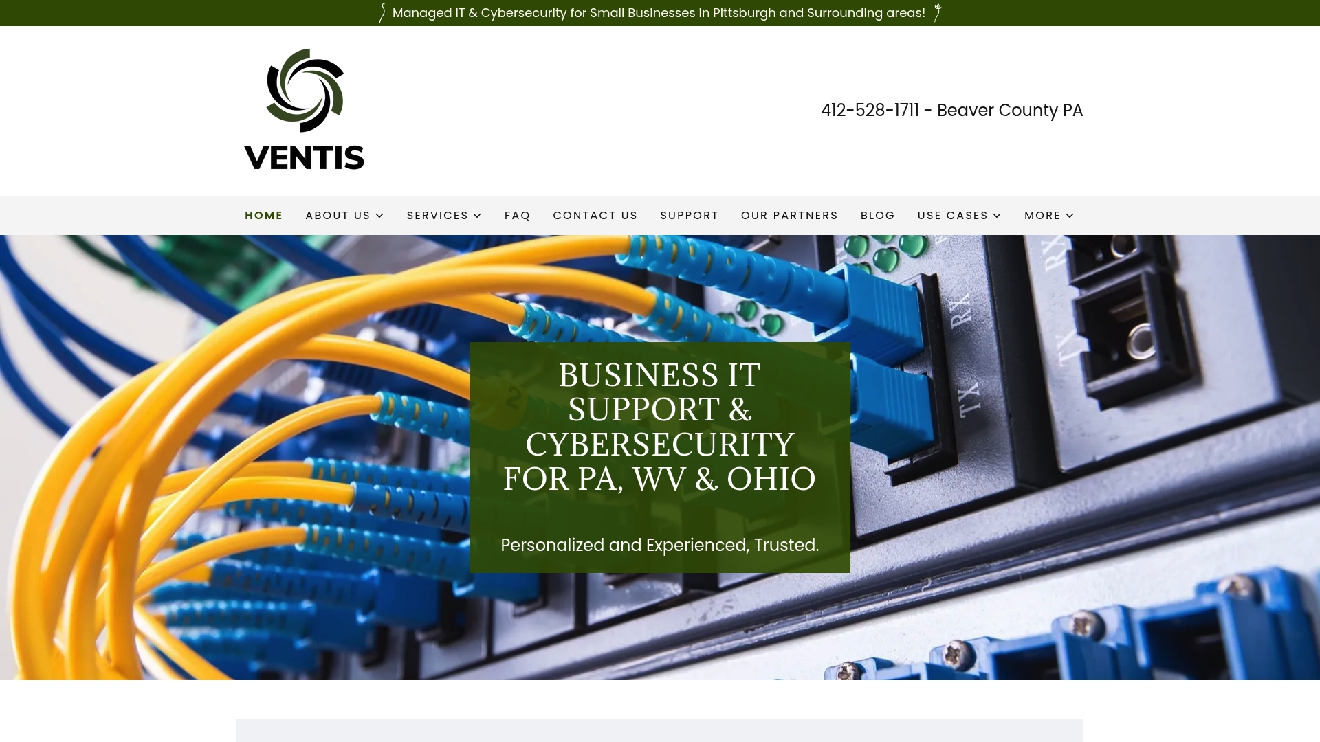 https://ventisconsulting.com