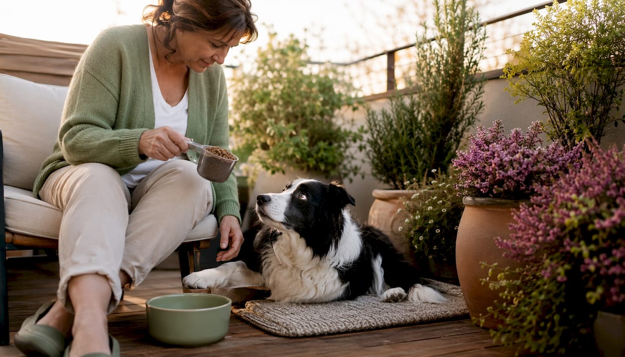 Owner preparing food for anxious dog in kitchen