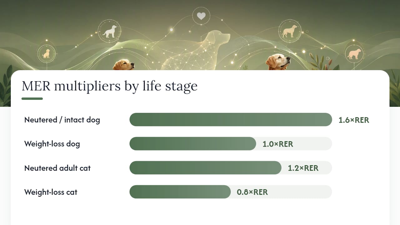 MER multipliers for pet caloric needs