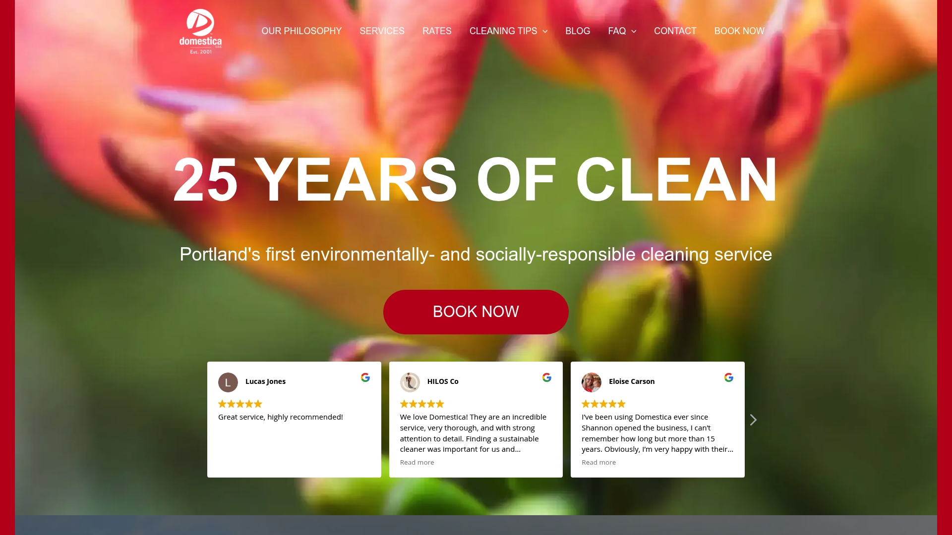 https://domesticaclean.com
