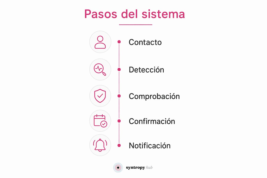 Infografía que muestra las etapas del proceso automatizado